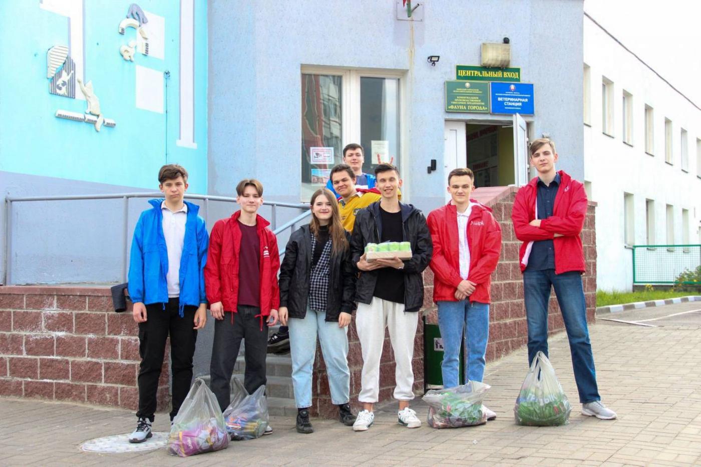 Доза пушистых и добрых
